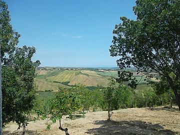 Casale o Rustico in vendita a Atessa (CH)  foto 11