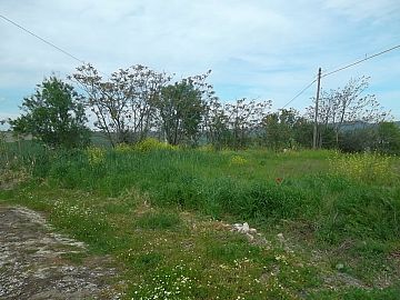 Casale o Rustico in vendita a Gissi (CH)  foto 9