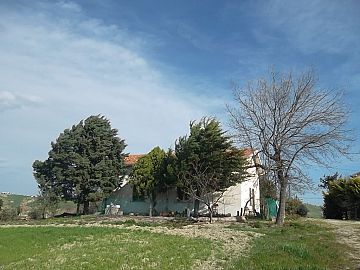 Casa indipendente in vendita a Gissi (CH)  foto 8