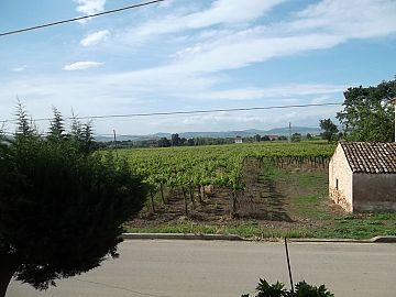 Casa indipendente in vendita a Scerni (CH)  foto 20