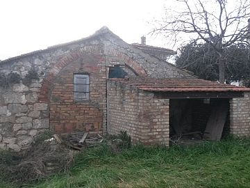 Terreno Agricolo in vendita a Montenero di Bisaccia (CB) contrada colle delle ginestre foto 5