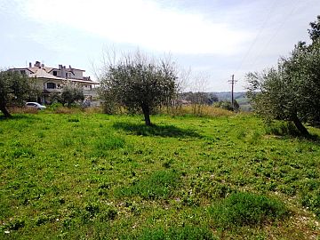 Terreno Edificabile Res. in vendita a Torrevecchia Teatina (CH) via torre foto 7