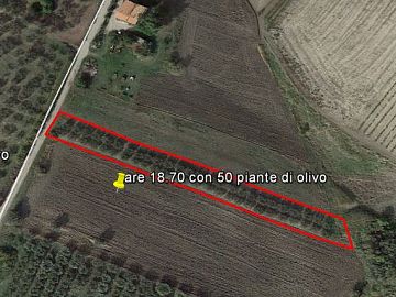 Terreno Agricolo in vendita a Cupello (CH) Contrada Montalfano foto 1