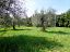 Terreno Edificabile Res. in vendita a Torrevecchia Teatina (CH) via torre foto 5
