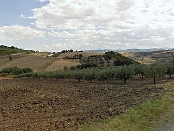 Terreno Agricolo in vendita a Cupello (CH) Contrada Montalfano foto 2