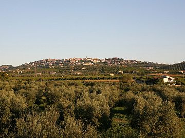 Villa in vendita a Città Sant'Angelo (PE) contrada Vertonica foto 19