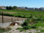 Casale o Rustico in vendita a Collecorvino (PE) Borgo Feretti,6 foto 24