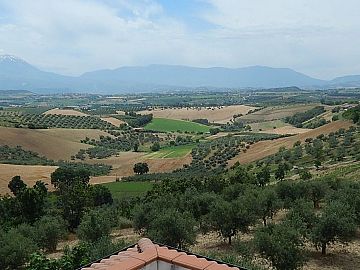 Villa in vendita a Pianella (PE) c.da velone foto 21
