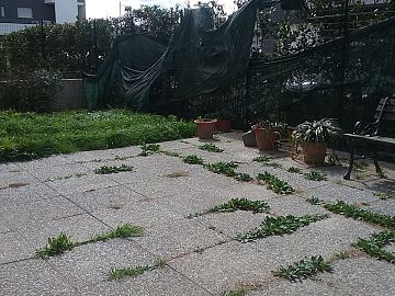 Appartamento in vendita a Pescara (PE) via Misticoni  foto 6