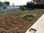 Villa bifamiliare in vendita a Città Sant'Angelo (PE) via alberto coppa foto 13