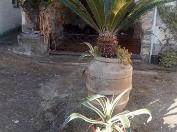 Villa in vendita a Casarza Ligure (GE) Via Olivella Camminata foto 4
