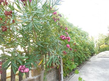 Villa bifamiliare in vendita a Lettomanoppello (PE) Via Pietrara 42 foto 7