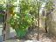 Villa bifamiliare in vendita a Lettomanoppello (PE) Via Pietrara 42 foto 21