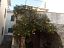 Villa in vendita a Casarza Ligure (GE) Via Olivella Camminata foto 3