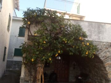 Villa in vendita a Casarza Ligure (GE) Via Olivella Camminata foto 3