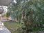 Villa bifamiliare in vendita a Pescara (PE) via di sotto 191 foto 4