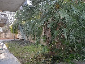 Villa bifamiliare in vendita a Pescara (PE) via di sotto 191 foto 4