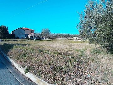 Terreno Edificabile Res. in vendita a Torrevecchia Teatina (CH) via vaschiola foto 6