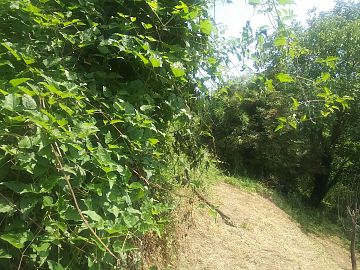 Casale o Rustico in vendita a Varese Ligure (SP) loc Vigna Pieve 144 foto 12