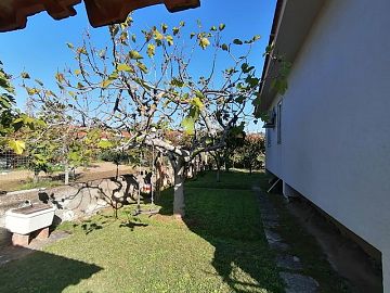 Villa in vendita a Ascea (SA) via Dionisio foto 15