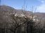 Appartamento in vendita a Maissana (SP) Via Provinciale 26 foto 10