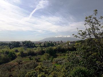 Porzione di casa in vendita a Cepagatti (PE) via capone foto 19