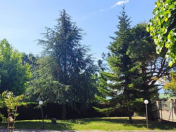 Villa in vendita a Bucchianico (CH) Contrada Colle Marconi 103 foto 4