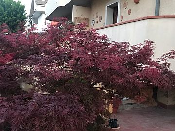Villa a schiera in vendita a Cappelle sul Tavo (PE) via pascoli foto 11