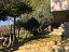 Casa indipendente in vendita a Chieti (CH) VIA DEI FRENTANI foto 14