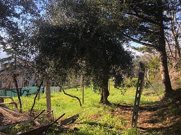 Casa indipendente in vendita a Chieti (CH) VIA DEI FRENTANI foto 5