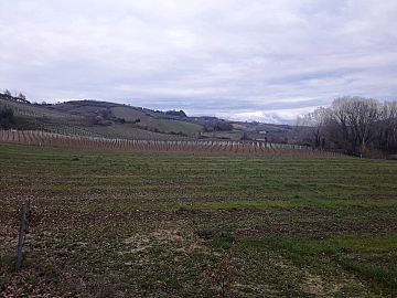 Terreno Agricolo in vendita a Villamagna (CH) contrada serepenne foto 4