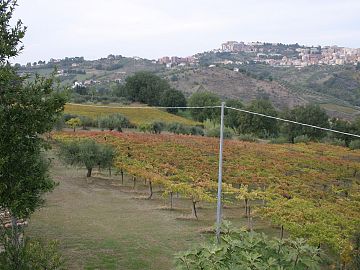 Casa indipendente in vendita a Chieti (CH) strada san donato foto 9