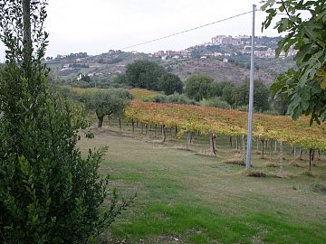 Casa indipendente in vendita a Chieti (CH) strada san donato foto 6