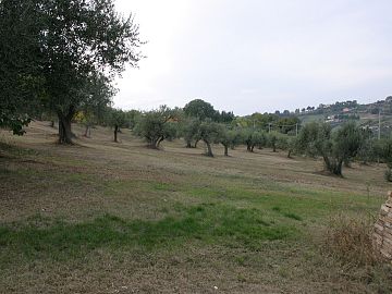 Casa indipendente in vendita a Chieti (CH) strada san donato foto 7