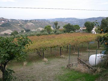 Casa indipendente in vendita a Chieti (CH) strada san donato foto 21