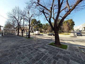 Negozio o Locale in affitto a Ruvo di Puglia (BA)  foto 3