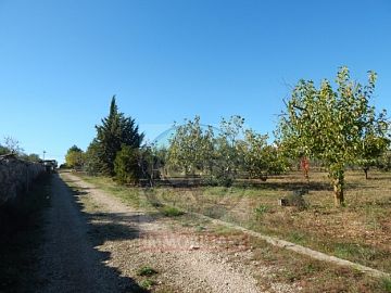 Villa in vendita a Ruvo di Puglia (BA)  foto 6