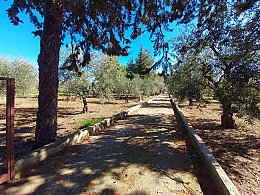 Vendita Villa in V a Ruvo di Puglia