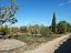 Villa in vendita a Ruvo di Puglia (BA)  foto 4