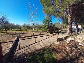 Villa in vendita a Ruvo di Puglia (BA)  foto 5