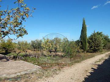 Villa in vendita a Ruvo di Puglia (BA)  foto 4
