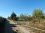 Villa in vendita a Ruvo di Puglia (BA)  foto 6