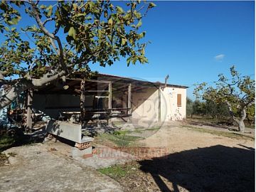Villa in vendita a Ruvo di Puglia (BA)  foto 2