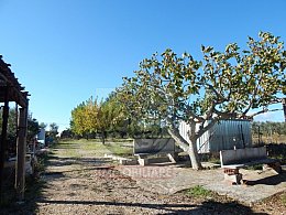 Vendita Villa in V a Ruvo di Puglia