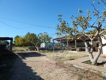 Villa in vendita a Ruvo di Puglia (BA)  foto 5