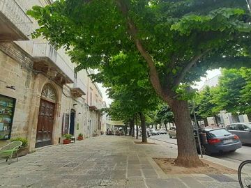 Appartamento in vendita a Ruvo di Puglia (BA)  foto 15