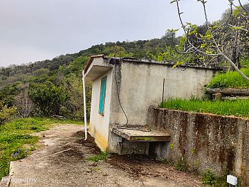 Terreno Agricolo in vendita a Ascea (SA) Ascea capoluogo foto 4