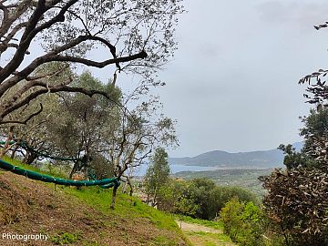 Terreno Agricolo in vendita a Ascea (SA) Ascea capoluogo foto 6