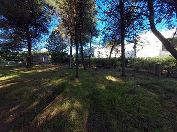 Villa in vendita a Ruvo di Puglia (BA)  foto 8