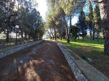 Villa in vendita a Ruvo di Puglia (BA)  foto 3